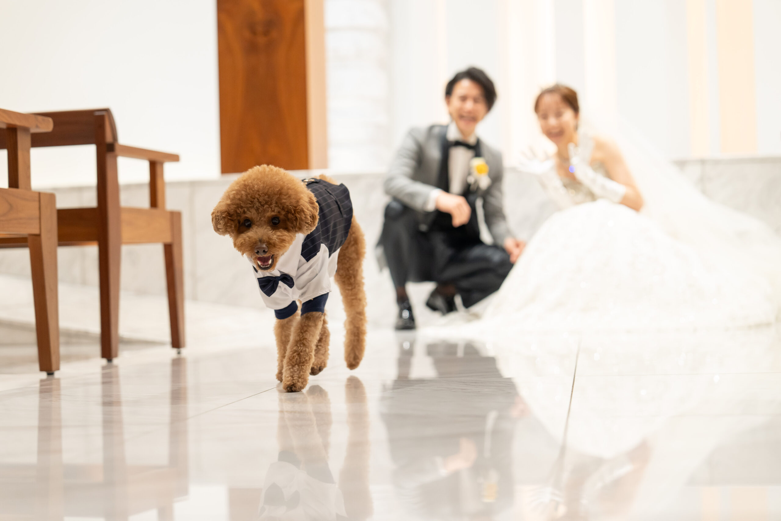 ペットと一緒の結婚式
