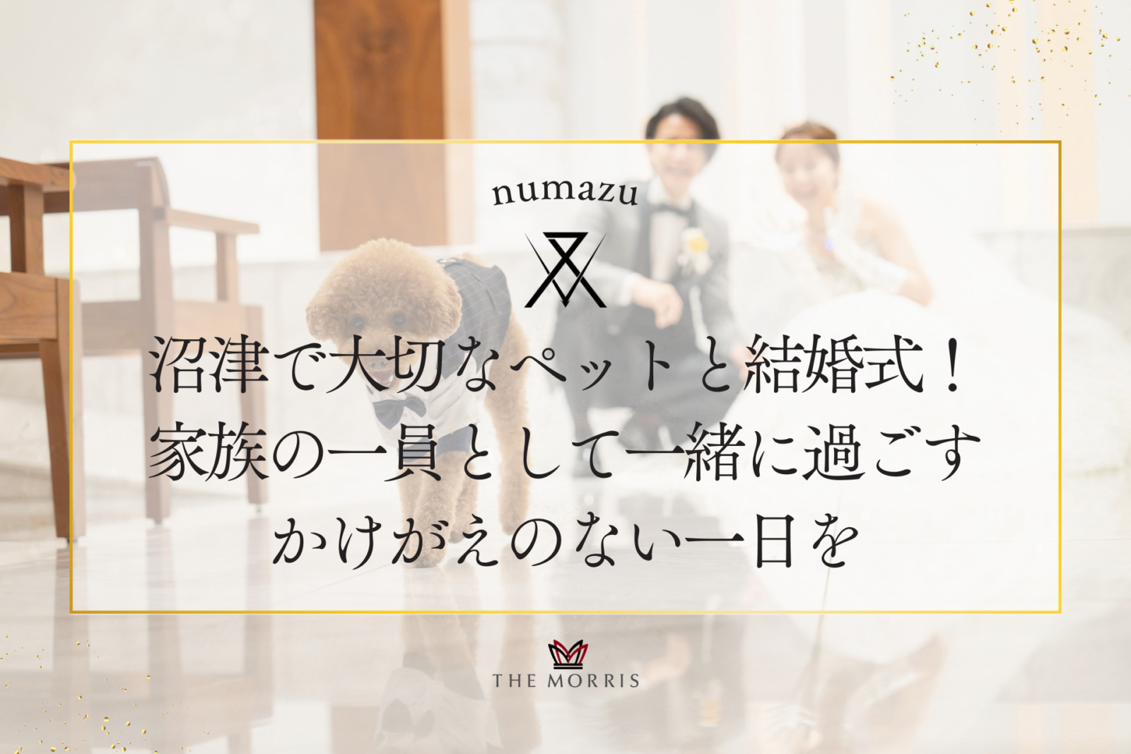沼津で大切なペットと結婚式！家族の一員として一緒に過ごすかけがえのない一日を