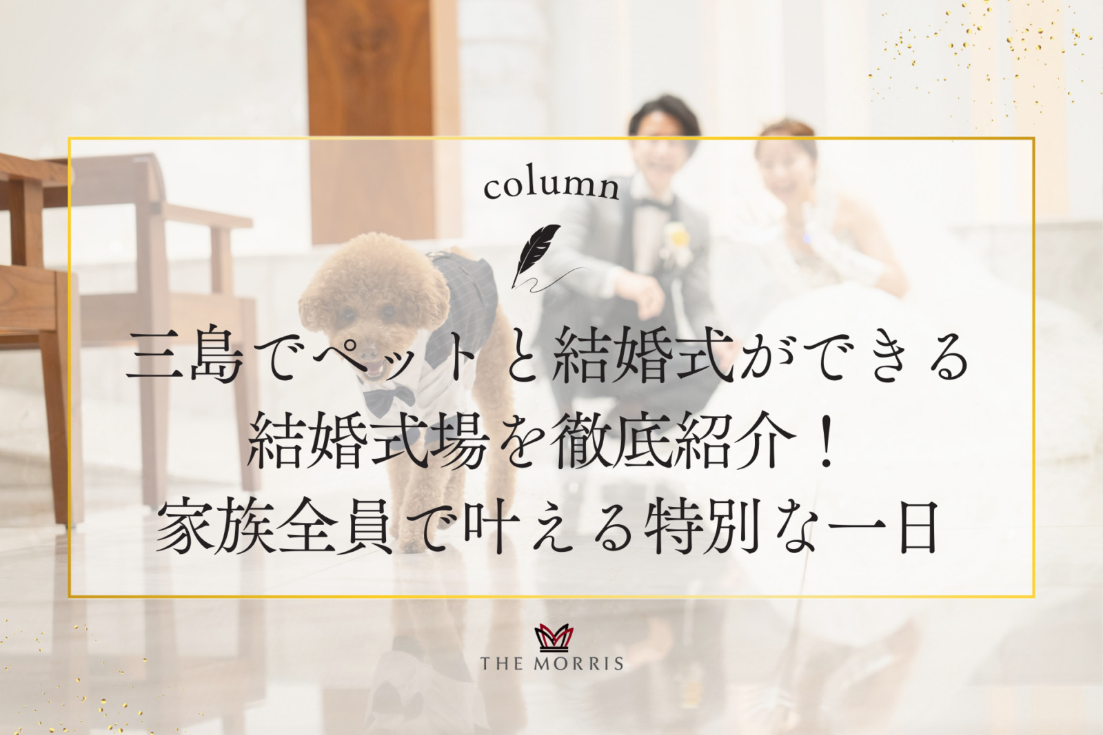 三島でペットと結婚式ができる結婚式場を徹底紹介！家族全員で叶える特別な一日