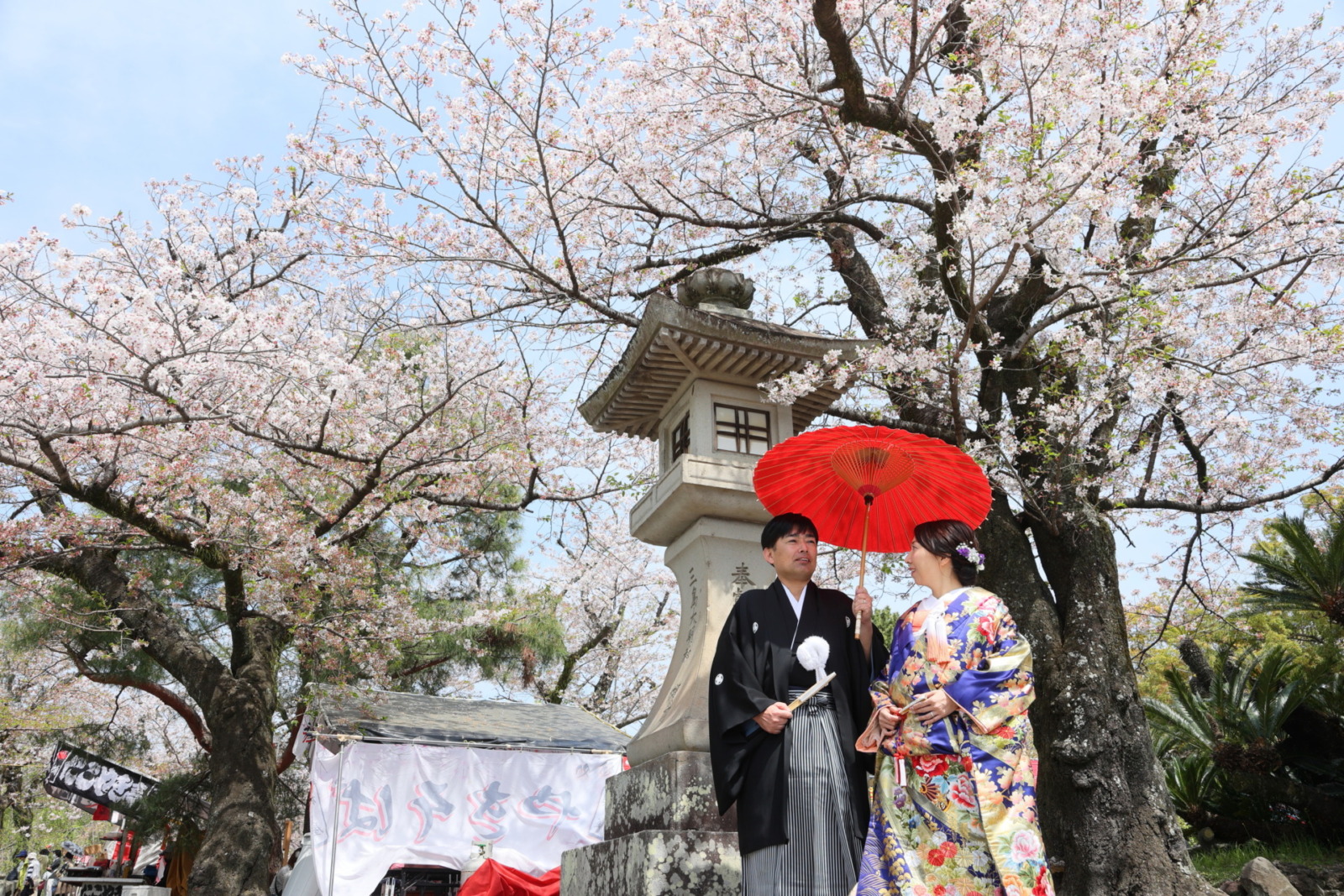 桜のシーズン🌸